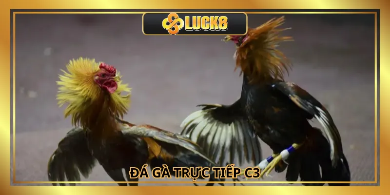 Đá Gà Trực Tiếp C3: Trải Nghiệm Cá Cược Kịch Tính Tại Luck8